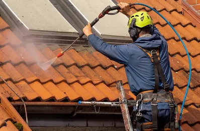 Démoussage et hydrofuge de toiture à Gelles
